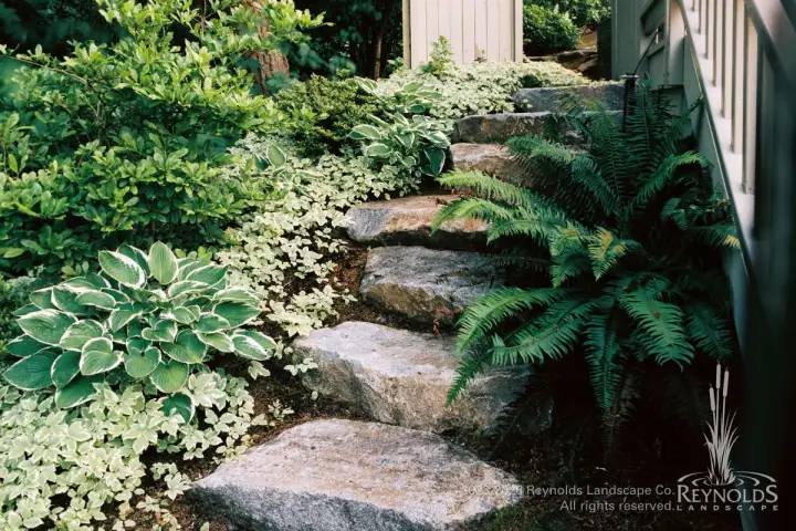 Natural boulder staircase with irregular stone steps set into shaded garden with ferns, hostas, and lush woodland plantings