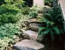 rl web portfolio stairs with plantings