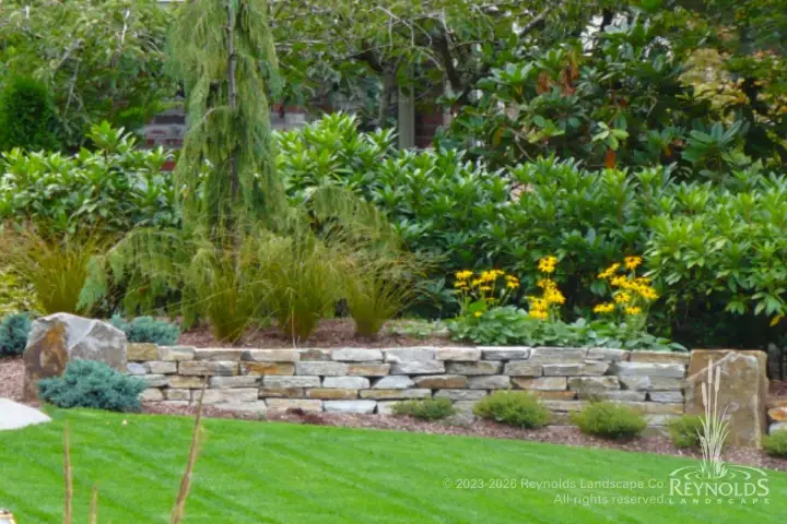 Low natural stone retaining wall with colorful perennial garden border featuring ornamental grasses, yellow flowering shrubs, and weeping willow backdrop