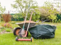 lawn thatching