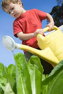 child watering plants