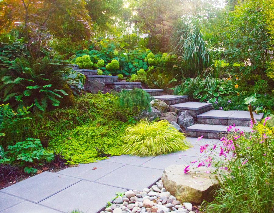 Bellevue Stairway Garden