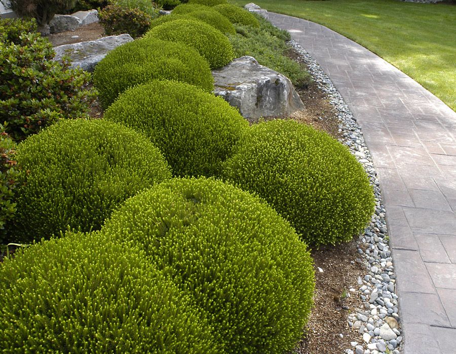 Shaped Hedging